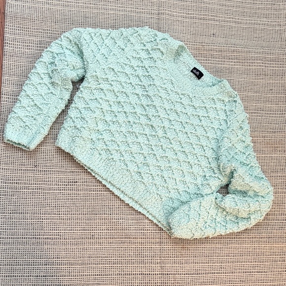 Dotti Sweaters - Dotti Mint Green Textured Women's Sweater in excellent condition